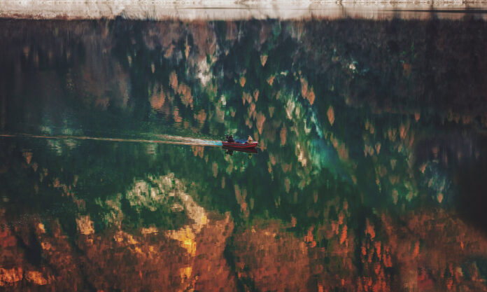 A photo by Federico Beccari. unsplash.com/photos/8UTyHv3xbr4