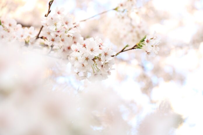 kazuend-86689-unsplash