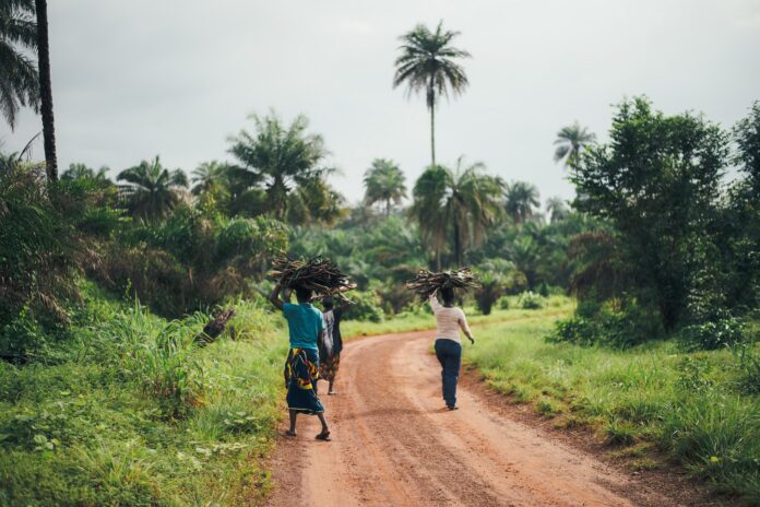 A photo by Annie Spratt. unsplash.com/photos/wtk4VH8EU20